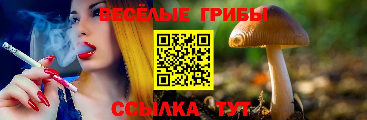 Красногорск  Галлюциногенные грибы MAGIC MUSHROOMS  Вход с VPN 